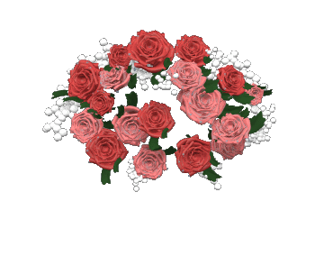 Sinopse Coração de Rosas se Abrindo