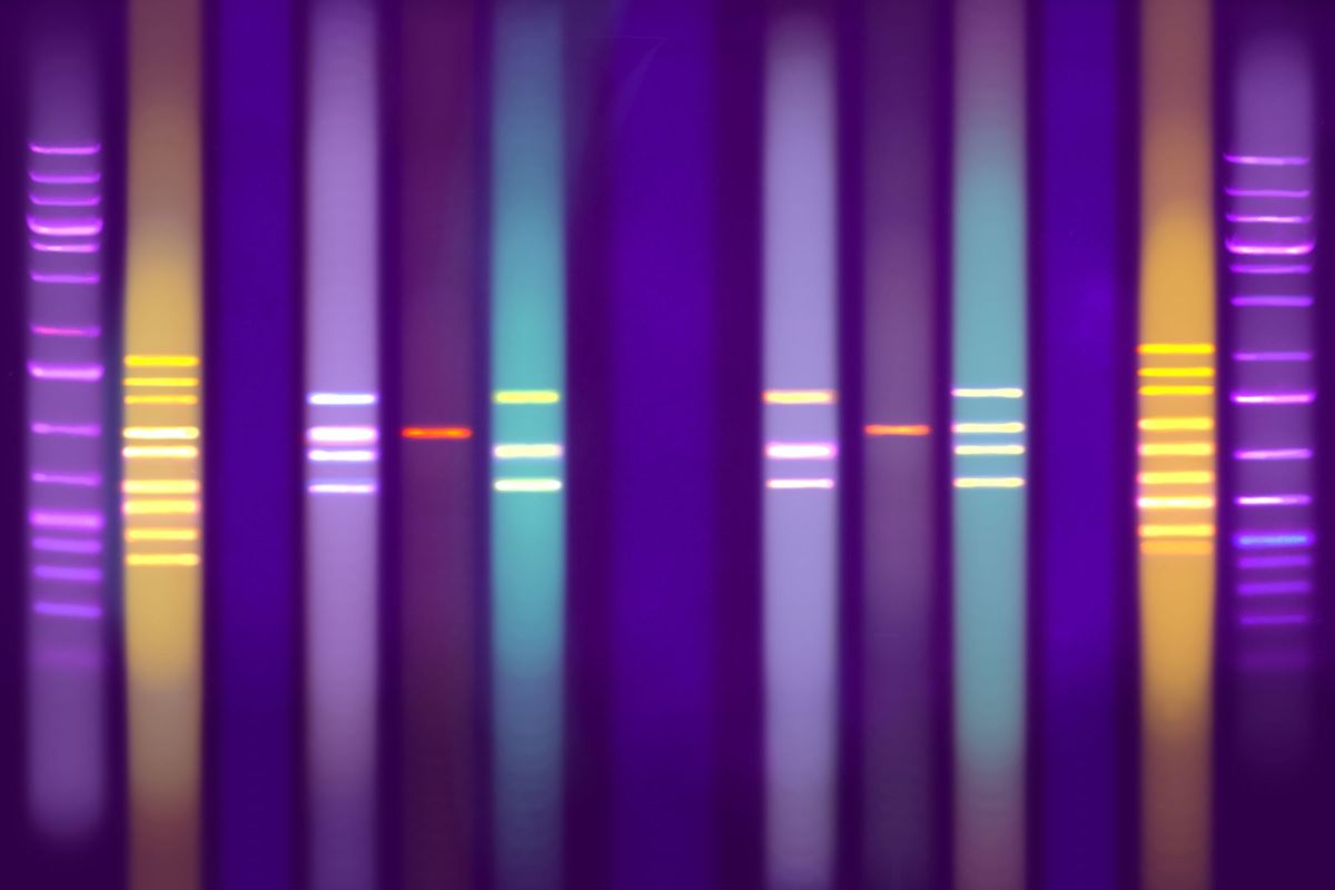DNA Visualization Purple
