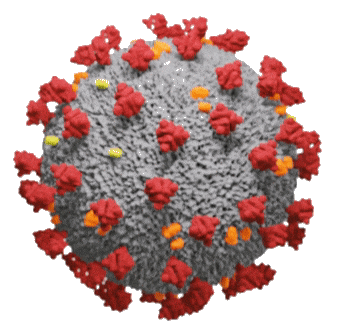 Sinopse SARS-CO-V-2