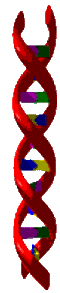 DNA Vermelho
