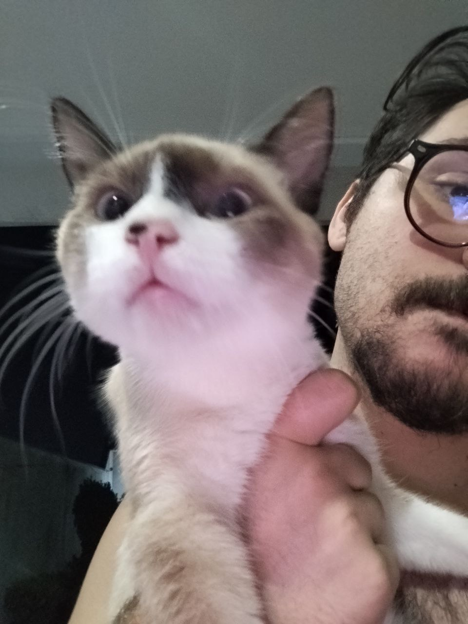 Foto de Yan com seu gato Creminho