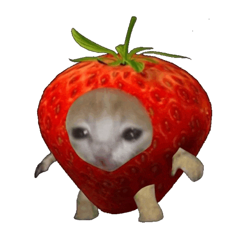 Gato Morango