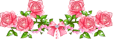 Divisor de Rosa