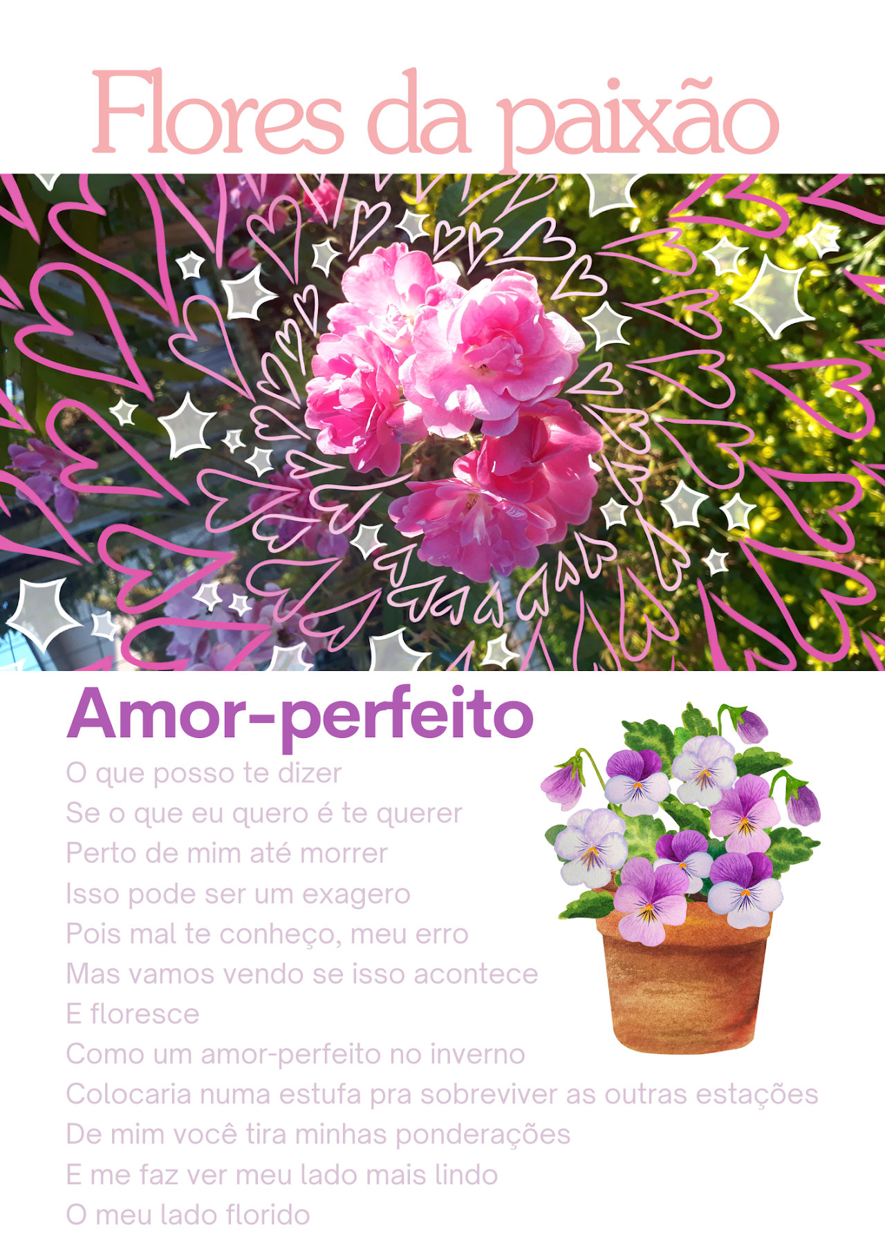 Flores da Paixão Amor Perfeito 7